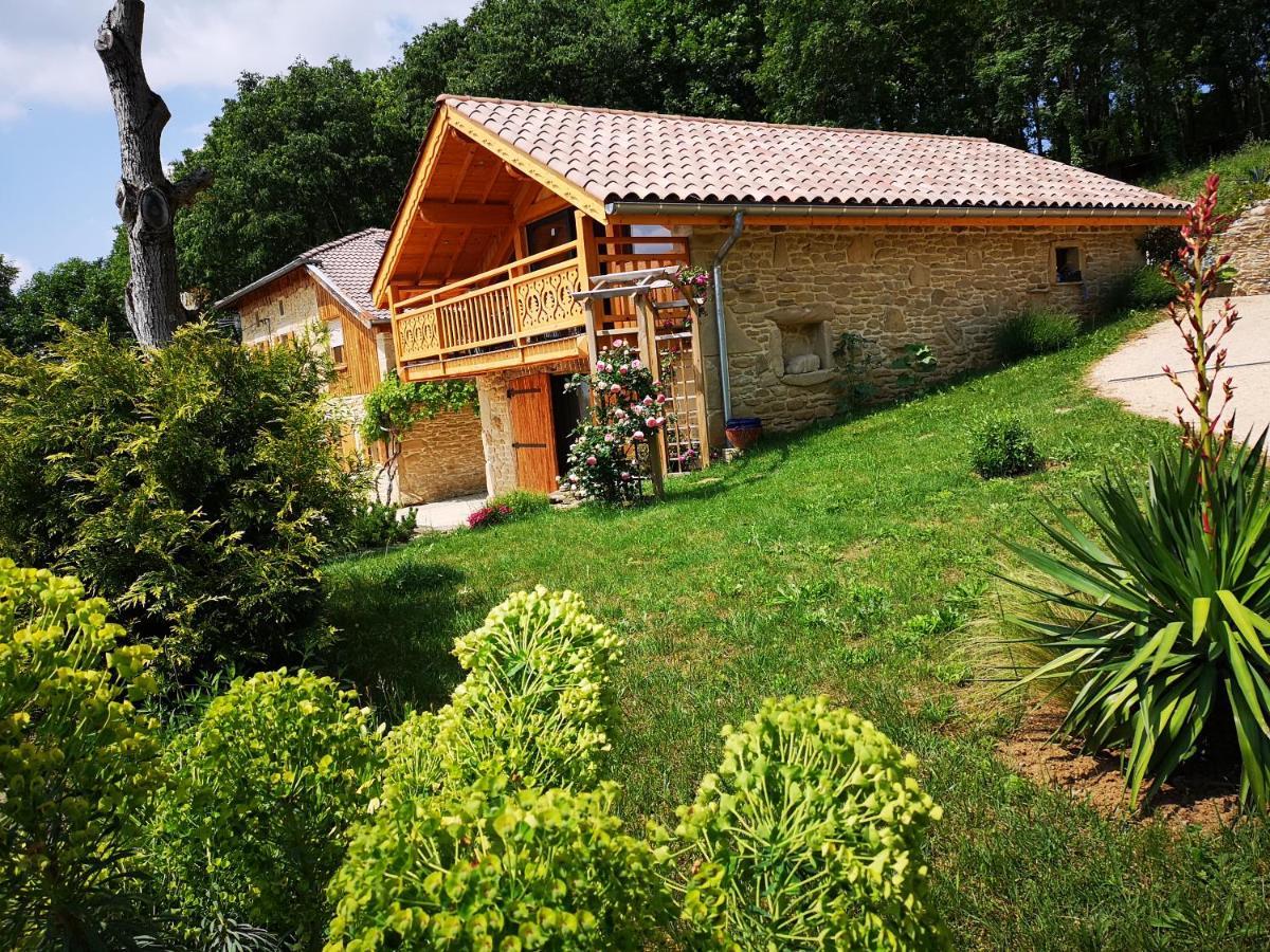 Chalet Le Clos De L'Orme Saint-Lattier Exterior foto