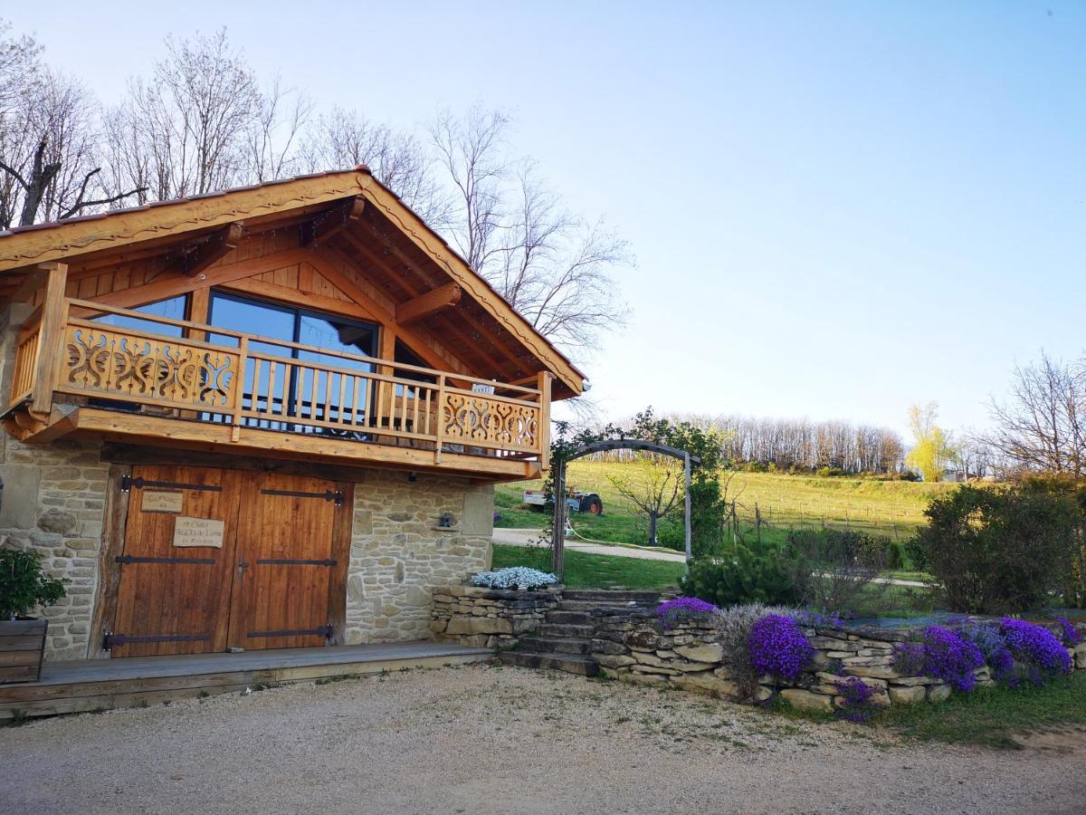 Chalet Le Clos De L'Orme Saint-Lattier Exterior foto